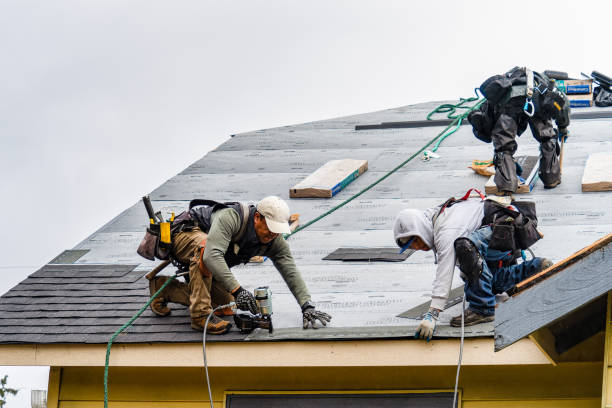Professional Gutter Installation technician working in Lyles, TN